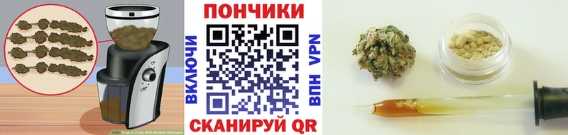 купить закладку  Светогорск  Cannafood конопля 