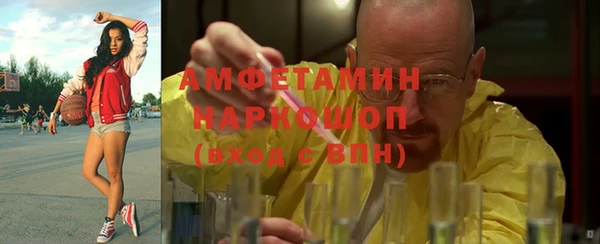 гидра Белокуриха