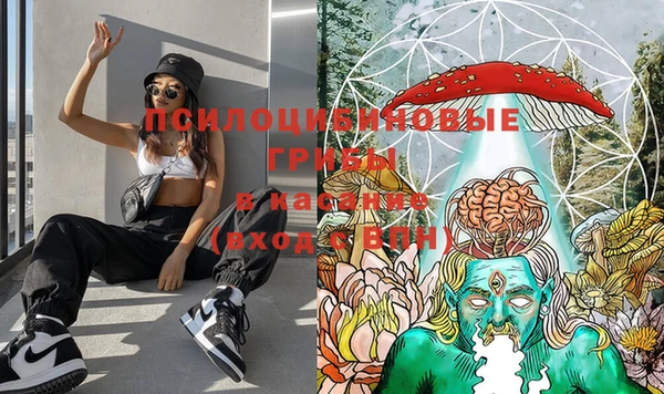 mdma Каменск-Шахтинский