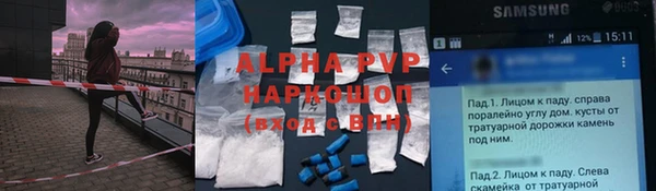 гидра Белокуриха
