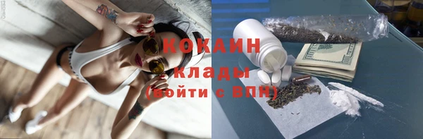 гидра Белокуриха