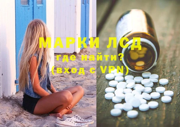 спиды Горняк