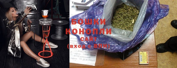 индика Горнозаводск