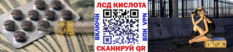 как найти закладки  Светогорск  Лсд 25 экстази ecstasy 