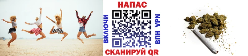 Каннабис ГИДРОПОН  Светогорск 
